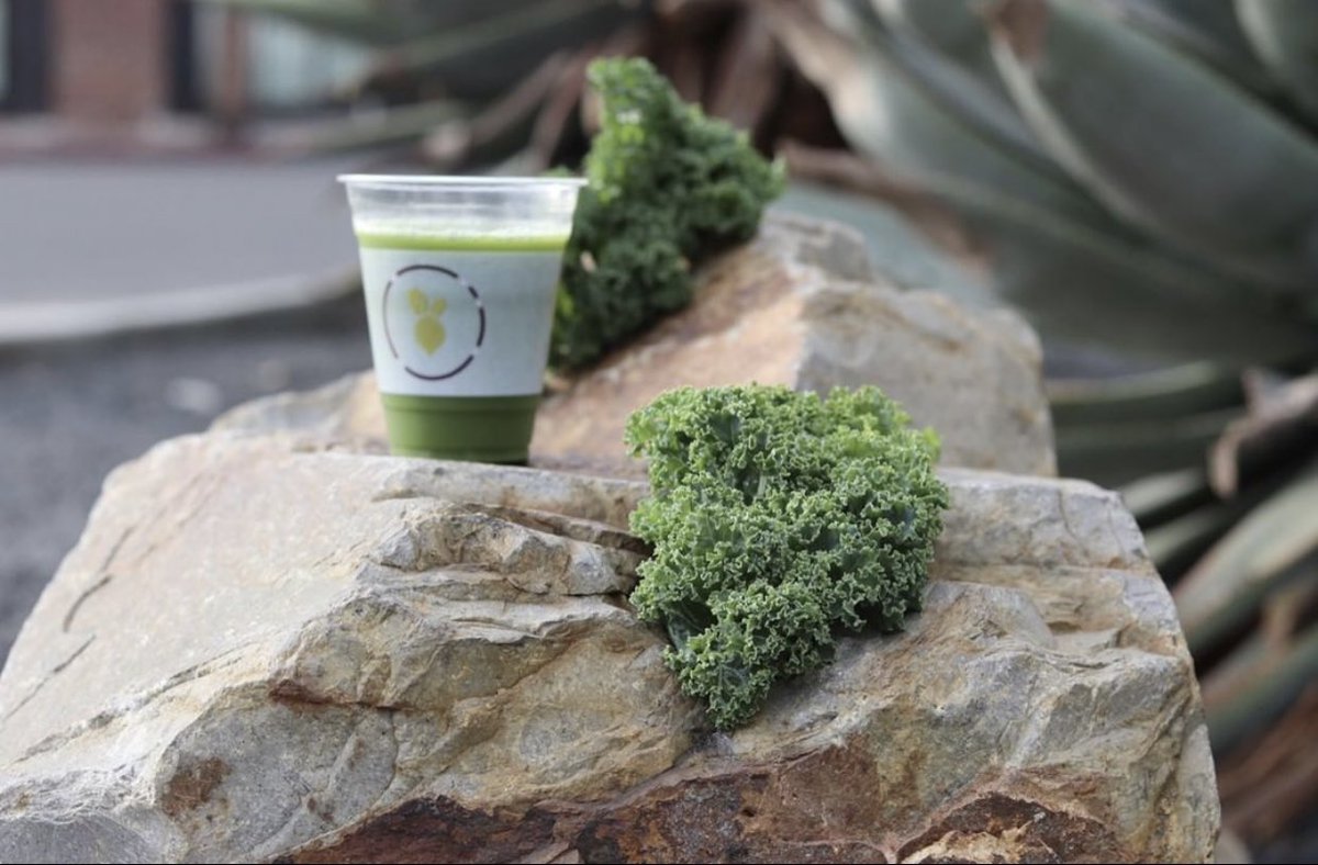 juicebotoffcl's tweet photo. We make sure everything we do keeps the fruits and veggies in their truest form. Farm to bot, your juice stays really delicious 🥬👩🏻‍🌾 #vendingmachines #coldpressedjuice #healthylifestyle #juice https://t.co/AgcNtiMEVf