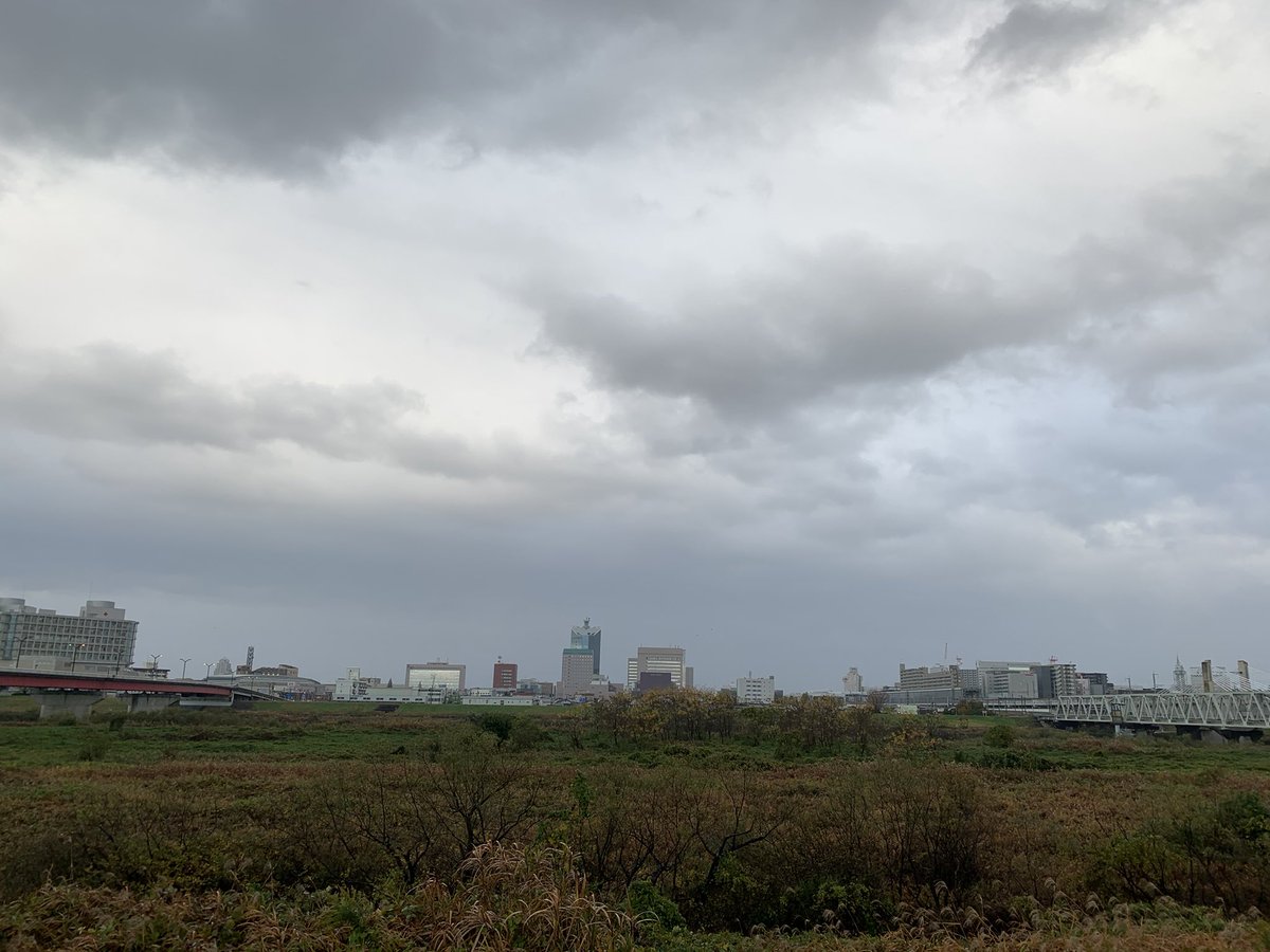 sy10153 photo