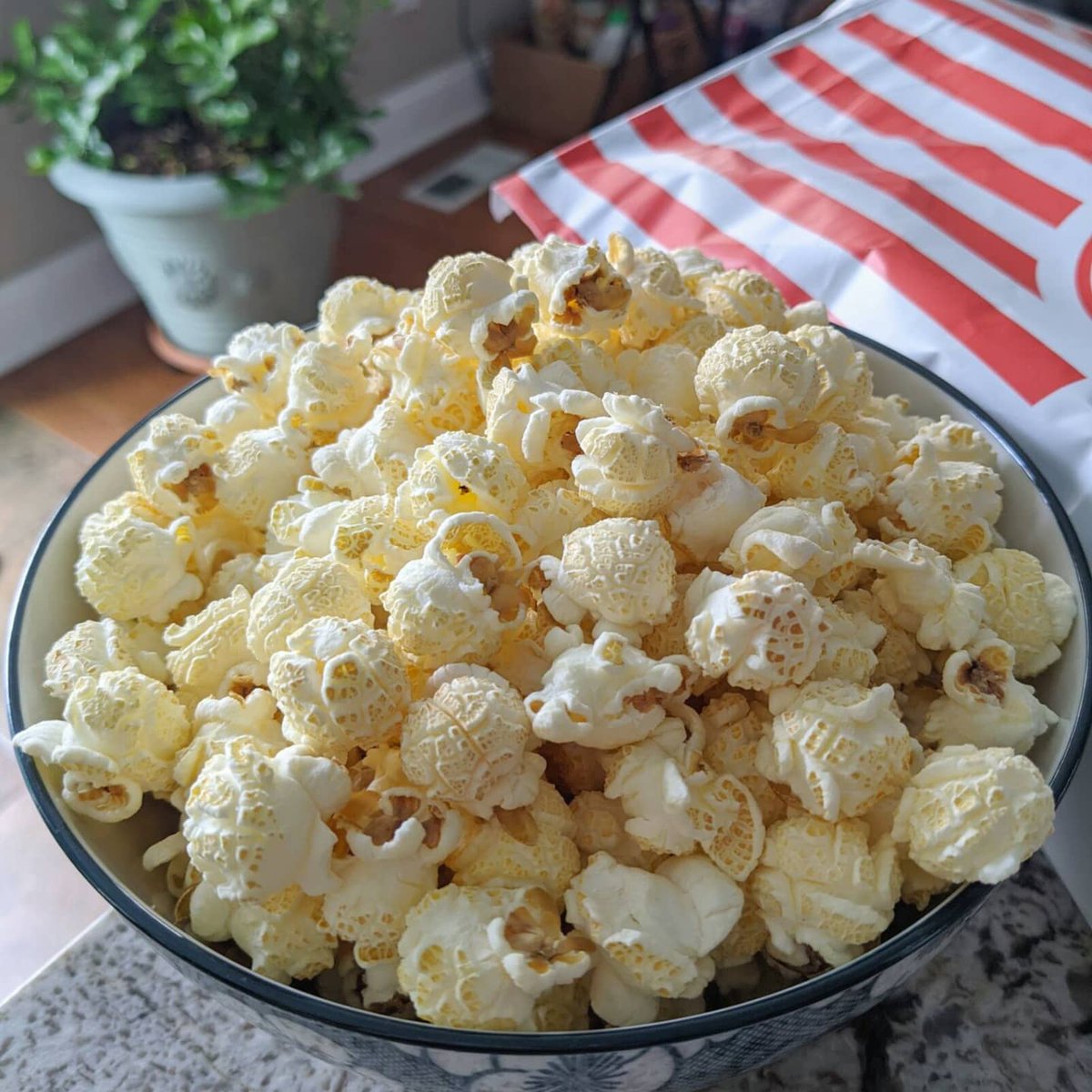 plsGetTheBread's tweet photo. What's poppin'? 🍿 Don't mind me just watching~ 👀

Did you know there were different shapes for popcorn? I never knew and only had the traditional butterfly shaped popcorn which tends to be more airy versus this mushroom…

📸 https://t.co/P9K4Td8FTV via https://t.co/QgeA1VhXK4 https://t.co/5IWwidLbJS