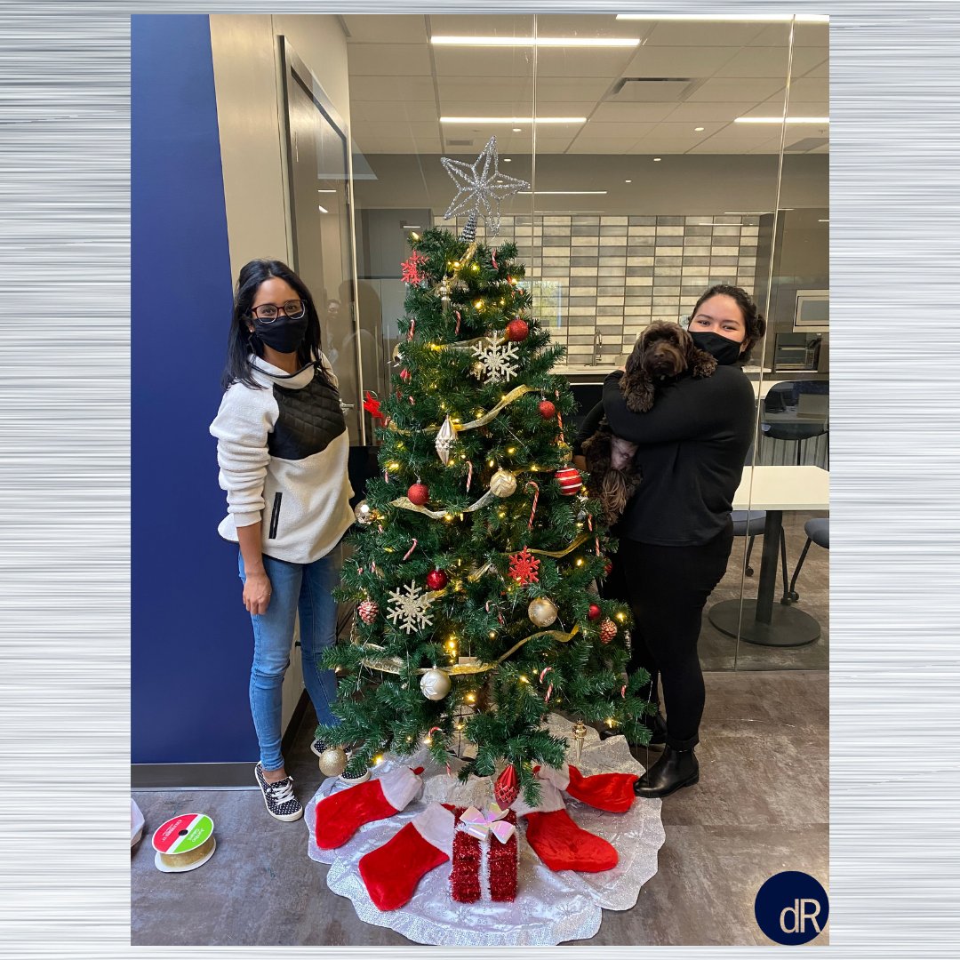 Getting into the holiday spirit at the office. Masks on and social distanced, of course (minus fin) 🤷‍♂️🎄 

#vancouverroofing #designroofing #christmasintheoffice #officedog