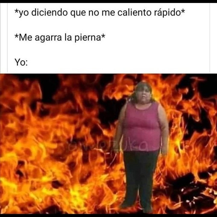 confirmen si la luna está en todas putas