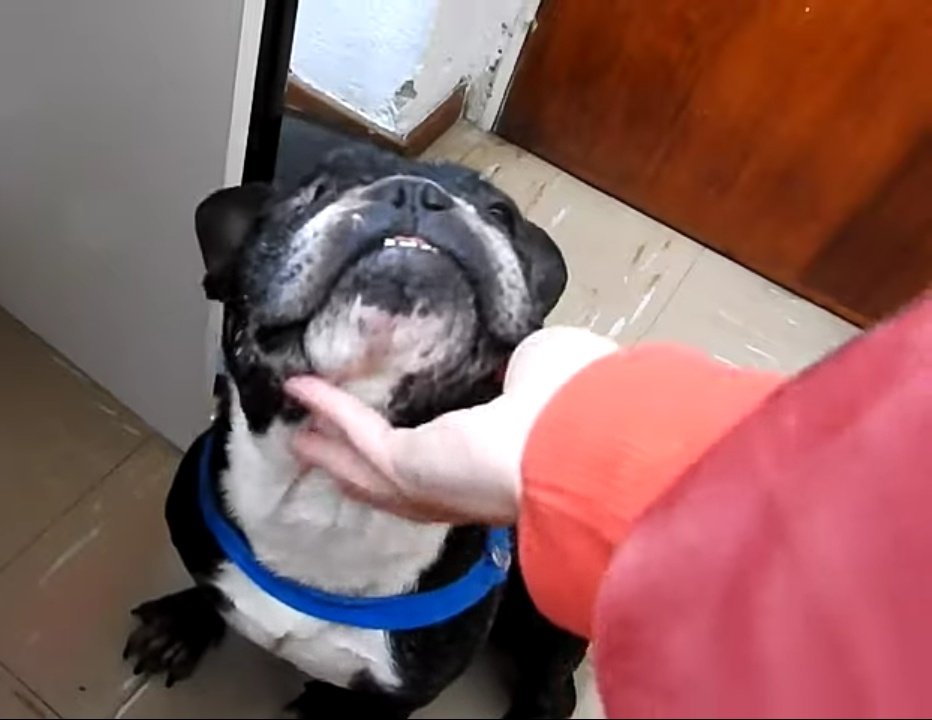 rarebecerra's tweet photo. lo más tierno del video
#LuaNuevoVideo https://t.co/OxdjwDLvBw