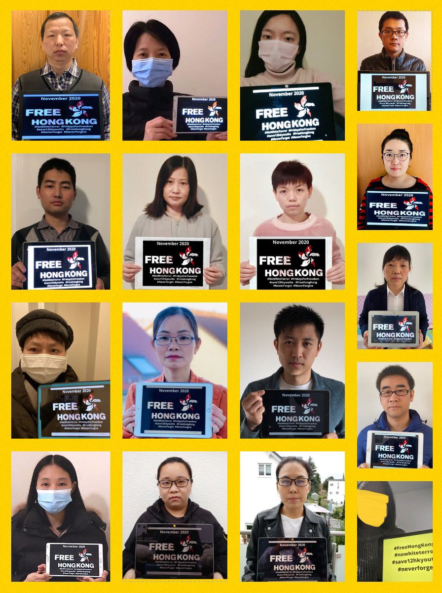 HongkongerV's tweet photo. Although elected lawmakers in Hong Kong are being silenced, we still want to stand up for democracy and freedom of speech! #FridaysForFreedom #FreeHongKong #NoWhiteTerror #SaveHK12Youths @NOW4humanity @HKLiberty_Team @FreedomHKG https://t.co/wsLPUBhINA