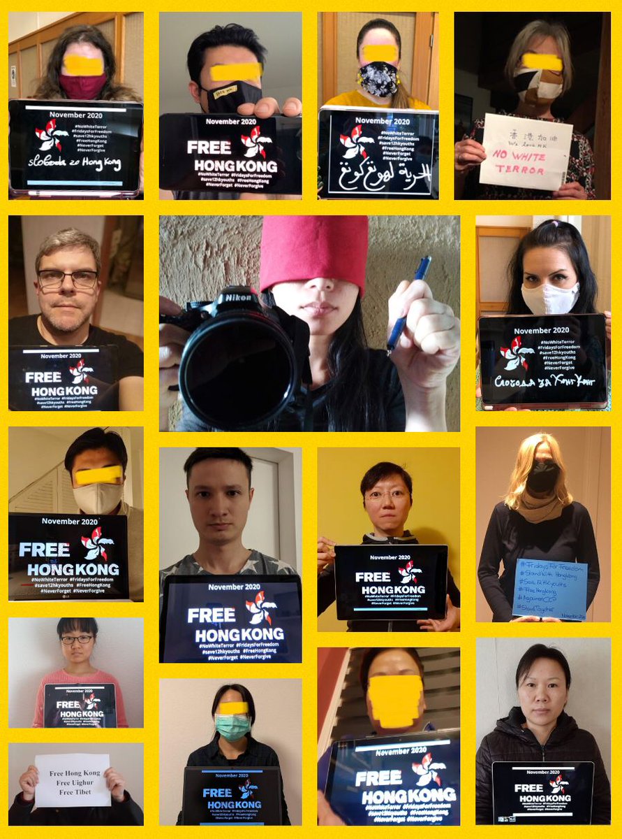 HongkongerV's tweet photo. Although elected lawmakers in Hong Kong are being silenced, we still want to stand up for democracy and freedom of speech! #FridaysForFreedom #FreeHongKong #NoWhiteTerror #SaveHK12Youths @NOW4humanity @HKLiberty_Team @FreedomHKG https://t.co/wsLPUBhINA