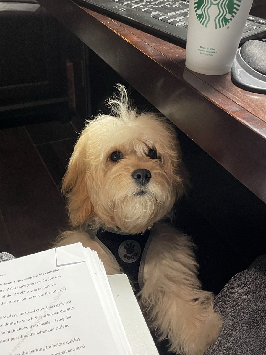 Up late last night burning the midnight oil, but I had really good company. #amediting #Thriller