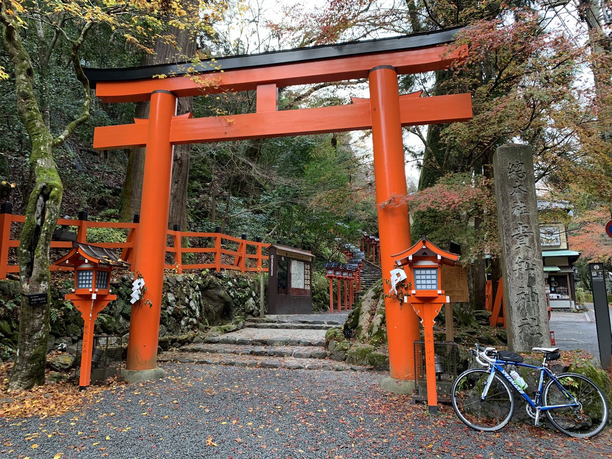 長い声の猫 活動中 今朝の貴船神社 昨日の雨で散っちゃったかな 貴船神社 紅葉 紅葉 京都 京都紅葉 京都紅葉 ロードバイク 自転車