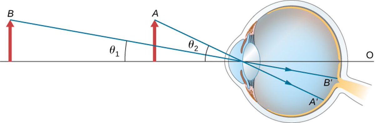 7/ For optics students, realize that the RELATIVE size of two things in a photo (or on your retina) has nothing to do with transverse magnification. Rather, it is the relative angle of the ray going from the top of each object through the center of the lens.