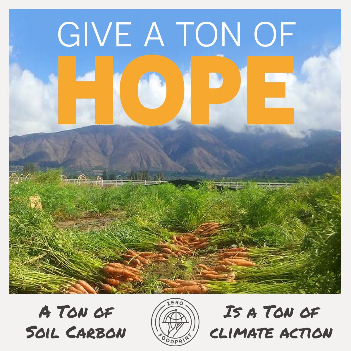 In case you need a Ton of Hope right now: zerofoodprint.org/featuredproject