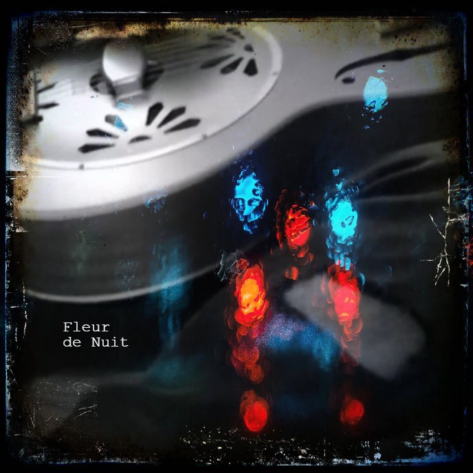 alineofcrows's tweet image. Opening track Fleur de Nuit - the brooding melancholia of Robert's instrumental track sets the tone for the album #darkcountry #devilscure #echozone #spaghettiwestern