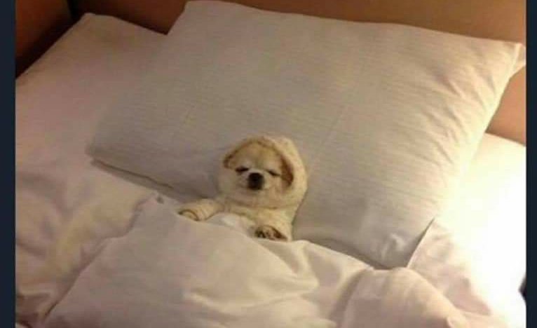 Others: Any exciting plans tonight?

Me: