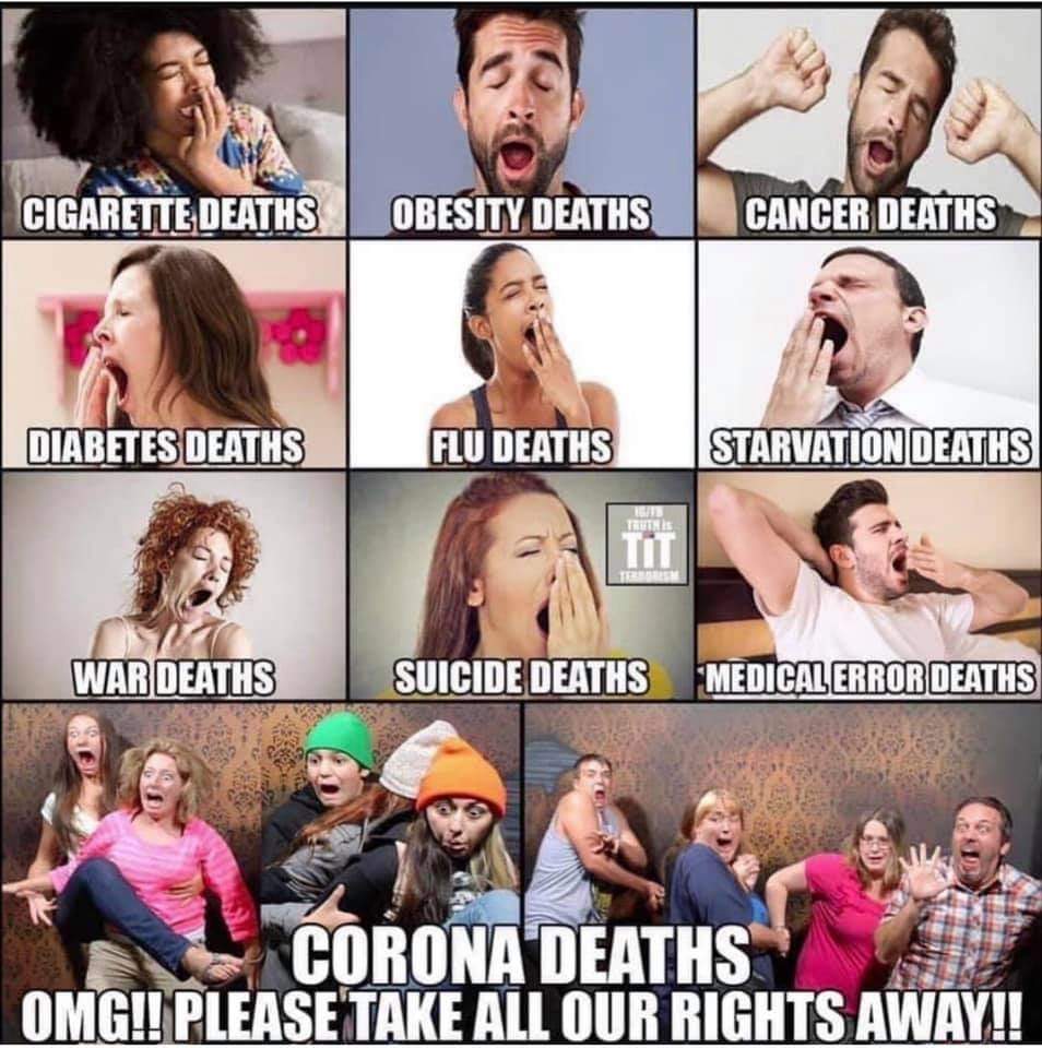 Stephend1776's tweet photo. If it's something as "arbitrary" as flu, suicide, or wartime deaths...*BIG YAWN*...if it's a Covid death...*PAAAAAANNNNIIIIIIIIIIIIIIIIIICCCCC*!!!!!!!!

#justsaying https://t.co/f3gFUYY8Kj