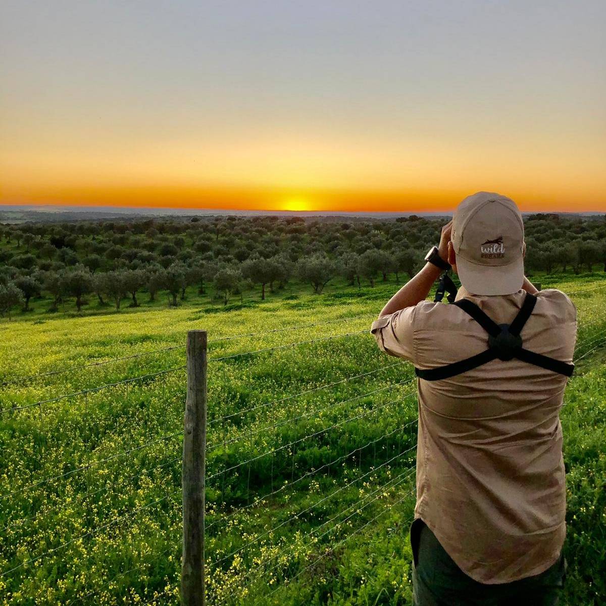 Despedimos otro intenso día de aves y naturaleza en el centro de #Portugal. Mañana pasamos a la parte española del proyecto #Orniturismoparatodos: Sierra Morena Occidental.

Foto por: @mariarprada

#Alentejo #TurismodoAlentejo #Andanatura #Poctepenmedios #famtrip #birdwatching