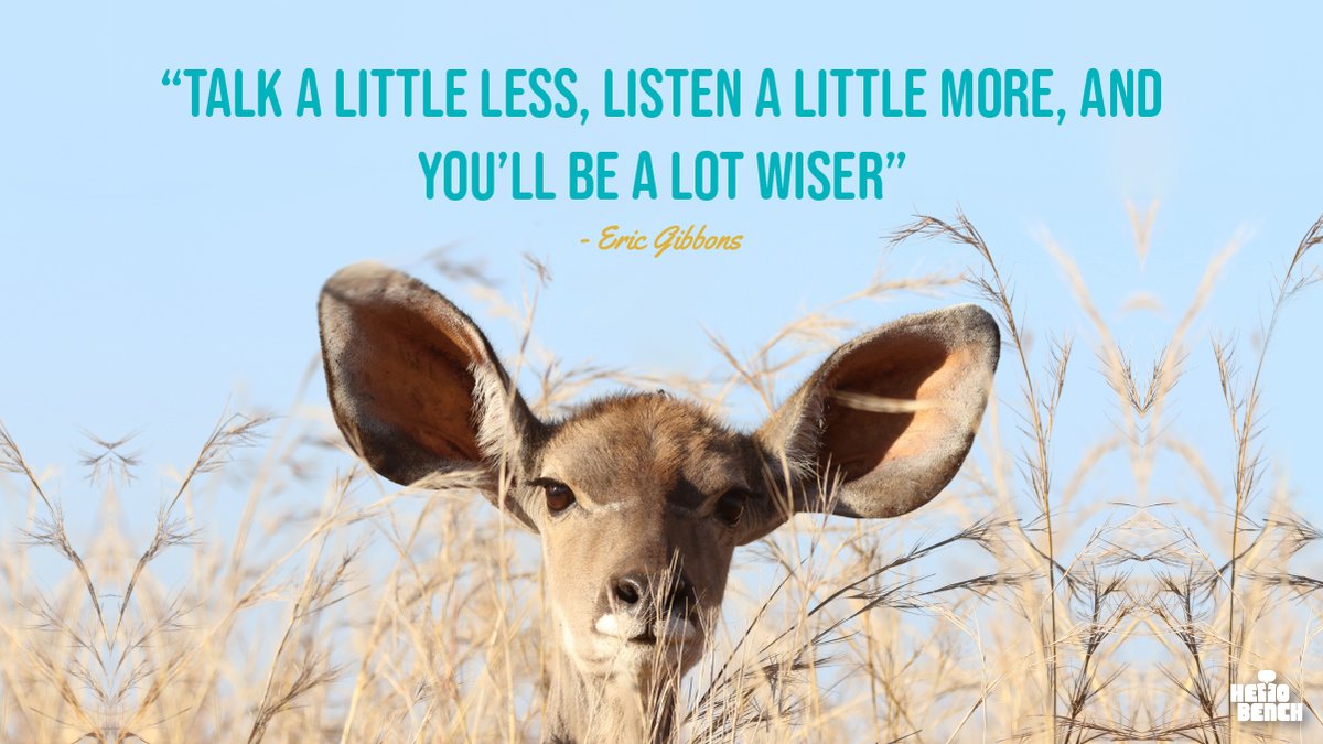 Hello Bench Project tweet media