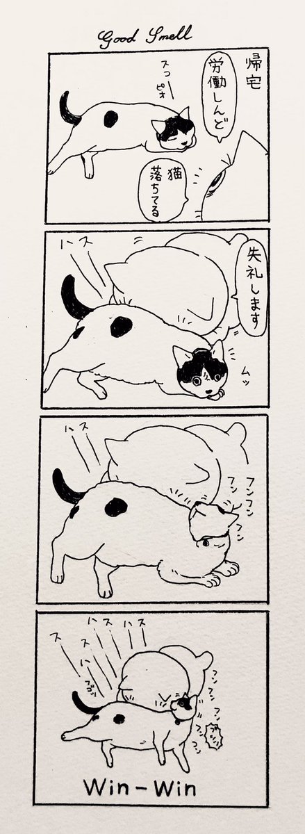 外のにおい大好き猫 