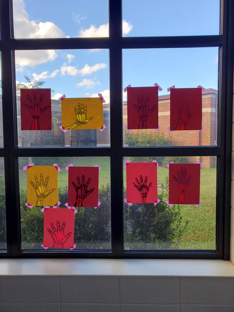 kwallaceles's tweet photo. My students did an amazing job drawing their hands and showing their bones. Fit in well with our Vertebrate lesson. @MysterySci @kiboucher @MsMondesirSTEAM @jlee_les @Ckanderson_LCSS https://t.co/SFg7p4KSh1