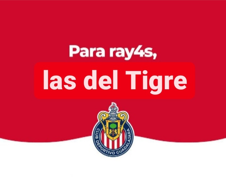 Allymiranda10's tweet image. JAJAAAAAY 🤩🐯💪🏻 

Antes de irse del estadio les dejan sus diplomas a mis amazonas y el reconocimiento a KattyKiller, @ChivasFemenil por favor!