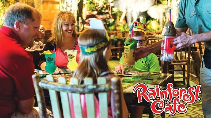 The Rainforest Cafe - Niagara Falls USA IS OPEN! Bring the kids for a fun time and delicious dining. Dine indoor with all social distancing protocols in place! Get out of the house and get to the Rainforest. Open from 12:00 noon - 9:00 pm this weekend!