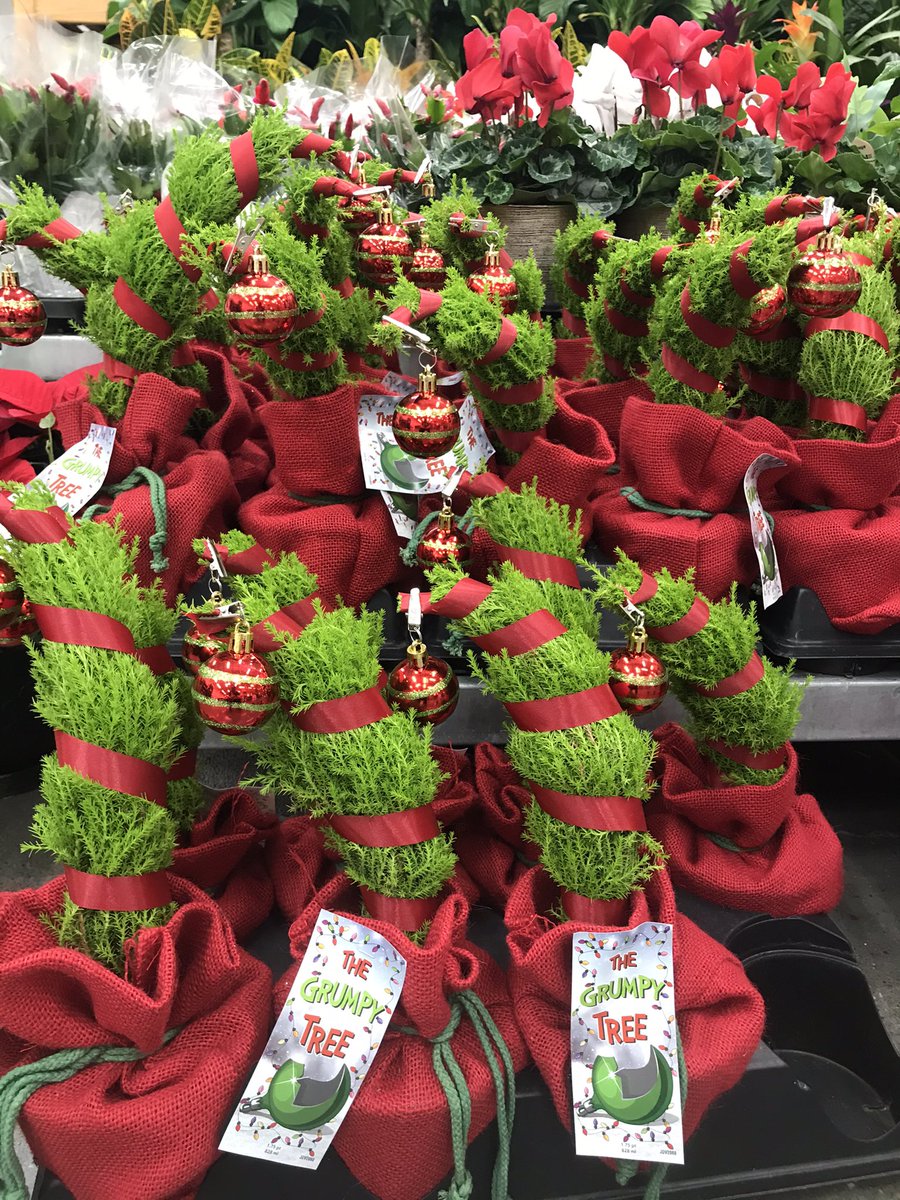 Kim Arthur (@7karthur) on Twitter photo 🐦Birds need something for Christmas too! I’m in love with these moss covered birdhouses and feeders! And check out these new little Grumpy trees! They’re perfect for the Grinch in you! <a href="/kimscottholman/">Kimberly Scott</a> <a href="/joshfelkerTHD/">Josh Felker</a> <a href="/NorliaSumpter/">Norlia Sumpter</a> <a href="/ORHomeDepot1/">Oak Ridge Home Depot</a> #HD736 🐦Birds need something for Christmas too! I’m in love with these moss covered birdhouses and feeders! And check out these new little Grumpy trees! They’re perfect for the Grinch in you! <a href="/kimscottholman/">Kimberly Scott</a> <a href="/joshfelkerTHD/">Josh Felker</a> <a href="/NorliaSumpter/">Norlia Sumpter</a> <a href="/ORHomeDepot1/">Oak Ridge Home Depot</a> #HD736