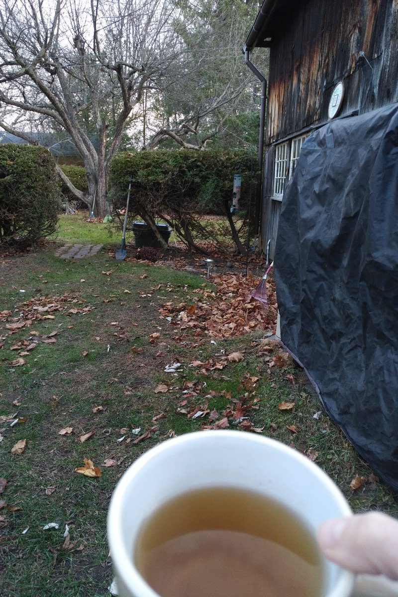 stephgray88's tweet photo. "Go outside," my frazzled brain whispered. So I drank my tea, watched the birds, admired the #juncos (my faves), saw a #dailysquirrel and even evidence of a #dailyjet. #keepcalm #breathe #stilldoingthistogether https://t.co/40XchLBFp1