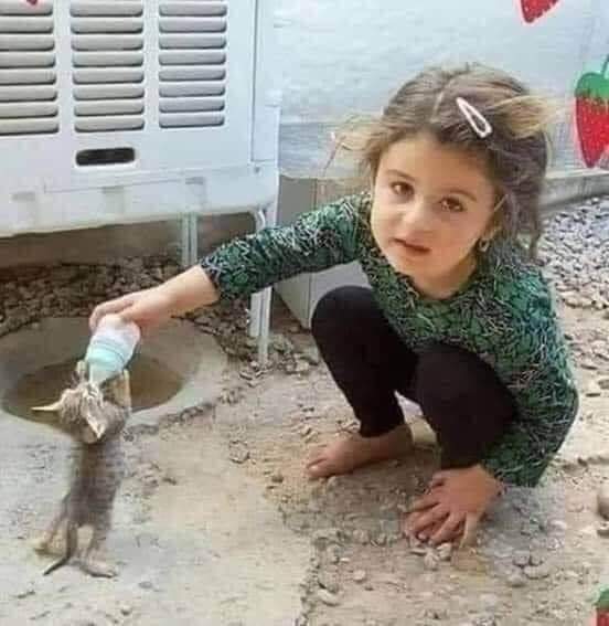 elifeeozkan's tweet photo. @arzu19032 @NurtenNurten17 Çocukların ağladığı bir dünyada bütün kahkahalar zalimdir...

-Ruhunuzu iyileştirmenin en güzel eylemi çocuklarla vakit geçirmek!

#DünyaÇocukHaklarıGünü https://t.co/3W5iU0DFTK