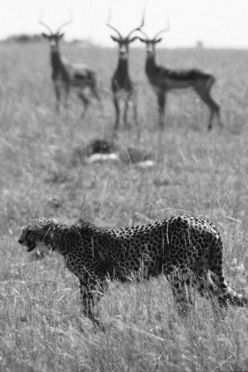 iknowkungfu (@iknowkungfu) on Twitter photo 