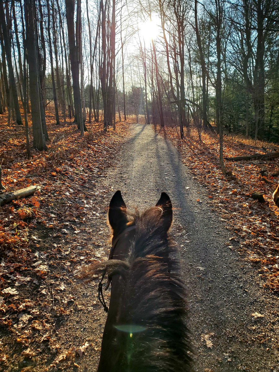 Stacey_Kennedy's tweet photo. Just a couple girls loving that we got one more day of fall before winter hits! 🍂🧡🍁 #happyexplorers https://t.co/rKMgPZwmxl