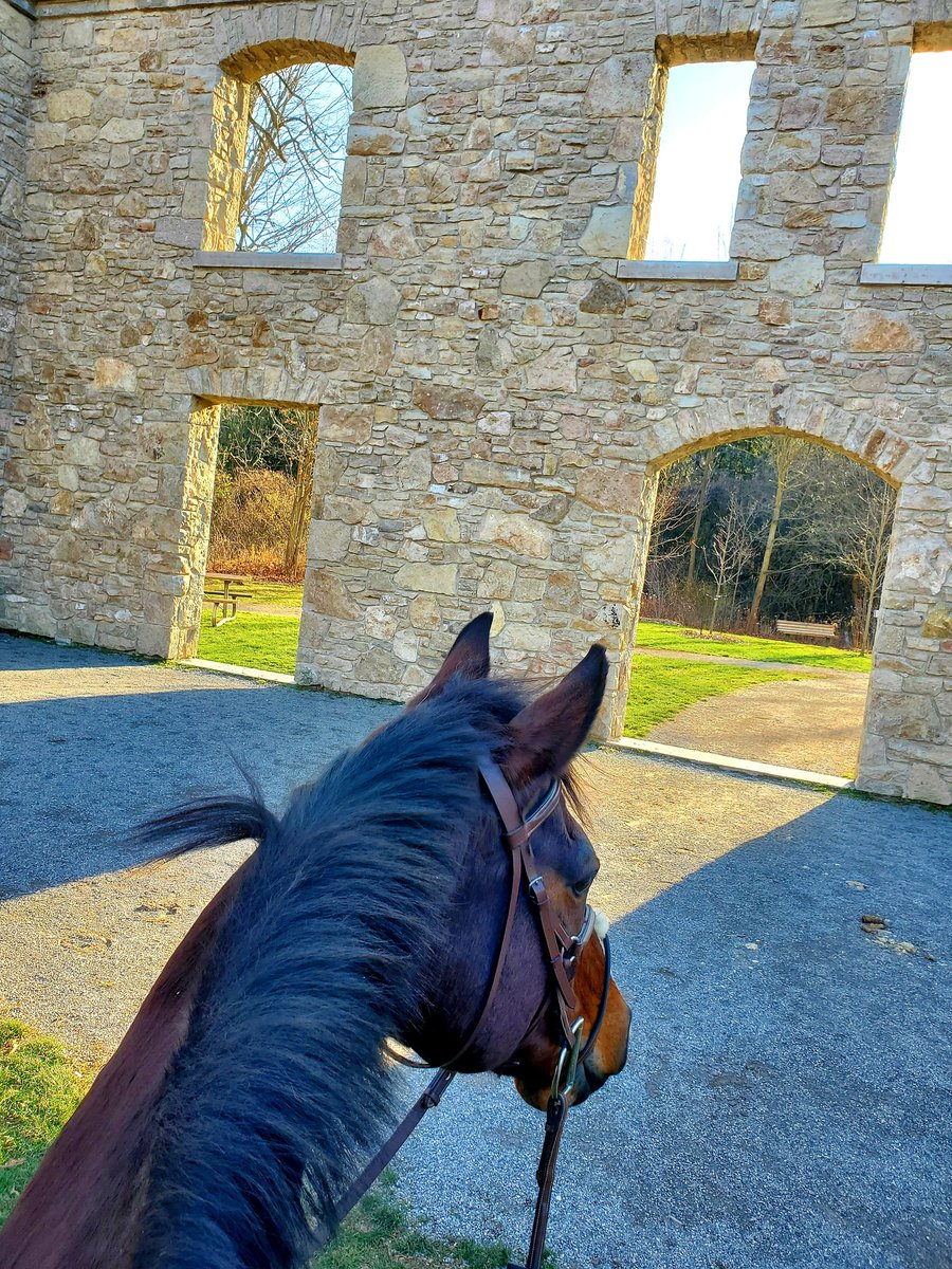 Stacey_Kennedy's tweet photo. Just a couple girls loving that we got one more day of fall before winter hits! 🍂🧡🍁 #happyexplorers https://t.co/rKMgPZwmxl