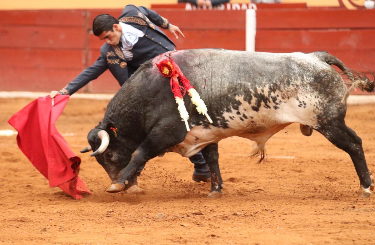 El festival taurino en Tlaxcala dejó triunfadores a <a href="/EJCalita/">EJ Calita</a> <a href="/arttSaldivar/">Arturo Saldivar</a> <a href="/sfloresprensa/">Prensa Sergio Flores</a> con dos orejas y #JoséLuisAngelino, una oreja. <a href="/elzapata21/">Zapatier</a> <a href="/LuisDavidAdame/">Luis David</a> palmas a los toros de <a href="/GRanchoSeco/">Gan Rancho Seco</a> de <a href="/checohernandezw/">Sergio Hdz Weber</a>