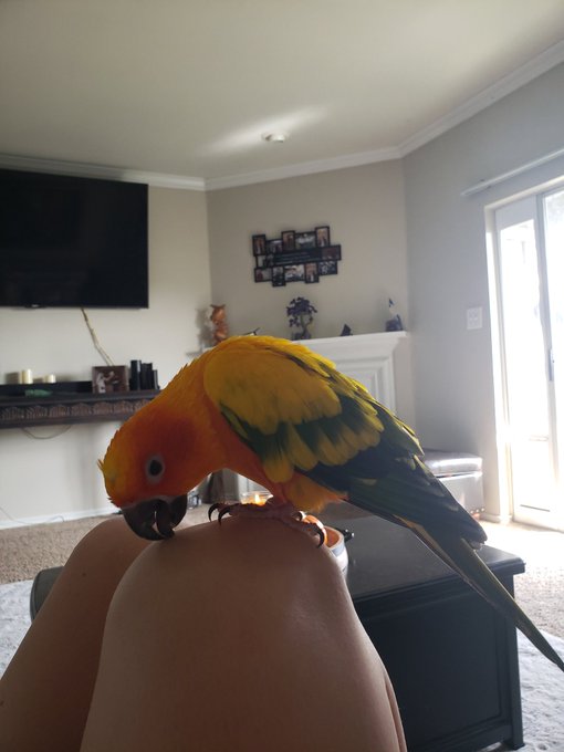 Meet Sol https://t.co/iXGpIiMsYP