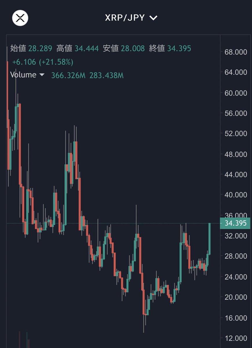 億りっぷるん 仮想通貨トレーダー 行け 飛べリッポー