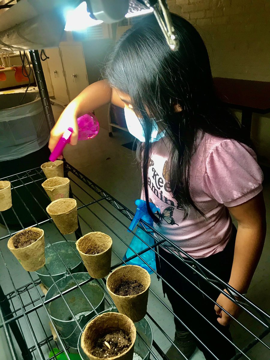CFUM_DSM's tweet photo. Our kiddos love Garden Club!!! #CFUM #AfterSchool #ScoutSprouts https://t.co/bR5XdjWTwF