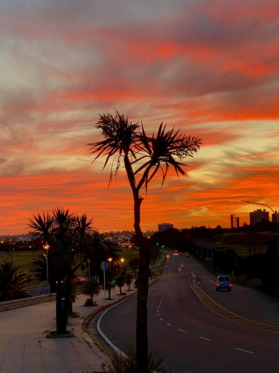 milibignami's tweet photo. Que ciudad 😍 https://t.co/hXwjC3x87z