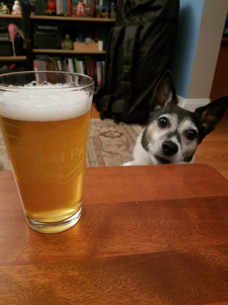 LP_Reads's tweet image. The best part of Friday is having a beer with @kairyssdal and the pup