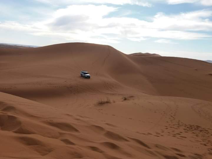 TripsCamel's tweet photo. Erg Chebbi Desert, Sand Dune just out of Merzouga Village
https://t.co/DJHmt03ReH
#morocco #ergchebbi #merzouga #cameltrip 
#cameltekking  #moroccotravel #merzougadunes
 #4x4offroad  #visitmorocco  
 #morocco_vacations #cameltrip #marrakechtrip #desertcamp #moroccodeserttours https://t.co/MDtEe4AbhZ