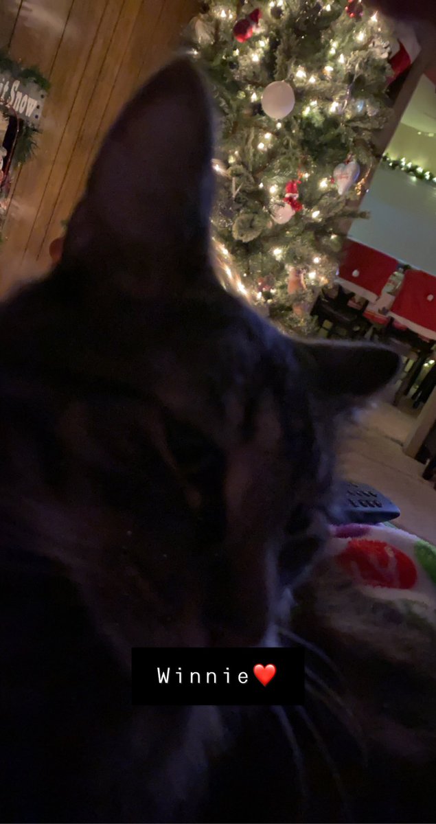 kellym09's tweet image. Winnie ❤️