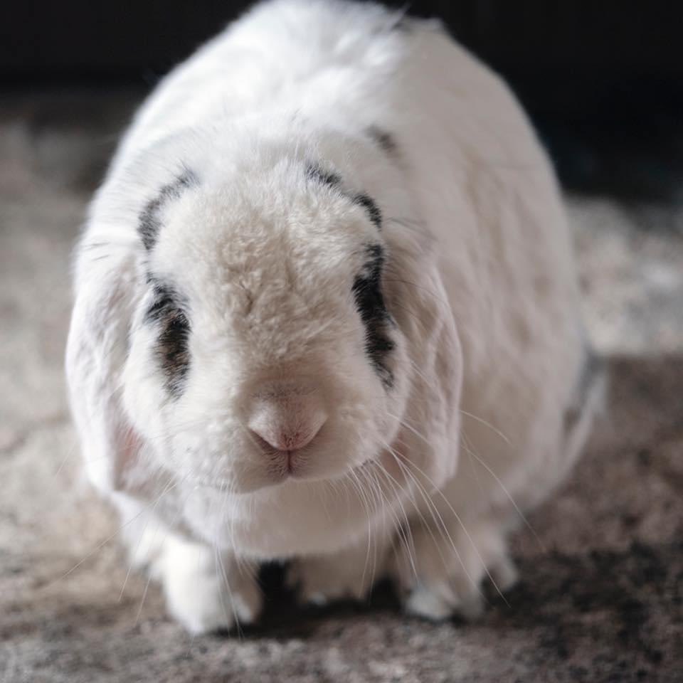 Dockside Realty tweet media