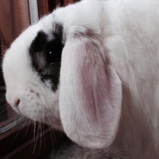 Dockside Realty tweet media