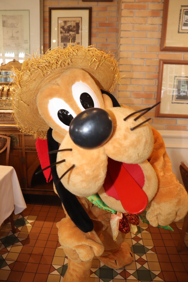 360DegreesofDis's tweet photo. #Pluto is getting ready for a #Thanksgiving feast! #DLP #DisneylandParis #Pluto #DisneyThanksgiving #DisneyFarmer #CharacterDining #InventionsBrunch #FarmerBrunch #プルート https://t.co/wBp6cYTOuo