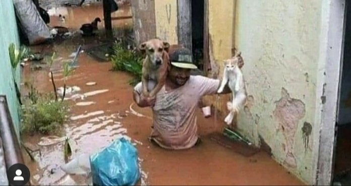 lindabran1's tweet photo. Los que hemos amado a una mascota haríamos lo mismo que este hombre, durante un desastre natural🌨🌩🌧🐈🐕🦮 primero salvamos nuestros peluditos antes que los objetos materiales. @MonicaL60171181 @CalderonSixto @Amaliaa90332393 @LyndaLuna06 @catoyescaesarno @ClaraBazo https://t.co/gihXEAxX66