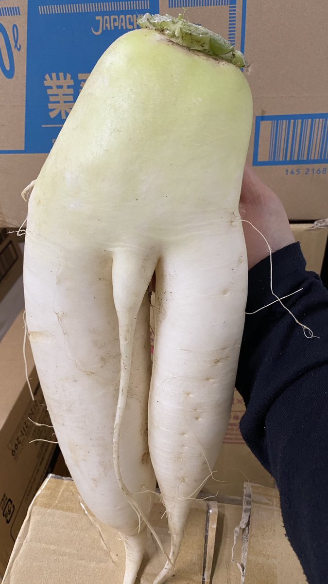 君たち女の子　僕たち男の子

注✳︎売り物ではありません汗