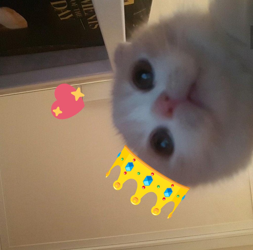 💌 @choicolatejun 

HAPPIEST BIRTHDAYYY TO YOUUU BEAUTIFUL!! have a great day today— no everyday! stay kind and healthy i love you so so so much,, ik im like super late but i still wanna celebrate ur bday no matter what 🥺💕
