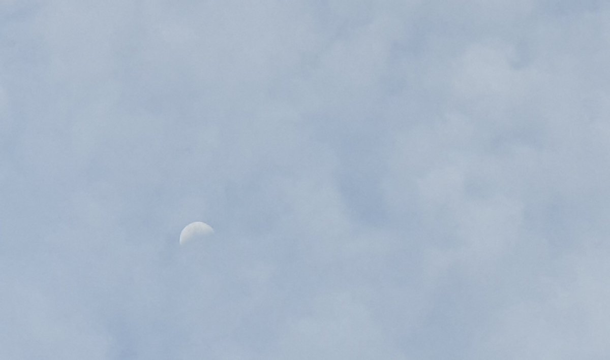 CherScheff's tweet photo. Waxing Crescent Moon in a cloudy sky.

#FridayMoon 40.6% https://t.co/FRlLzTF2DL