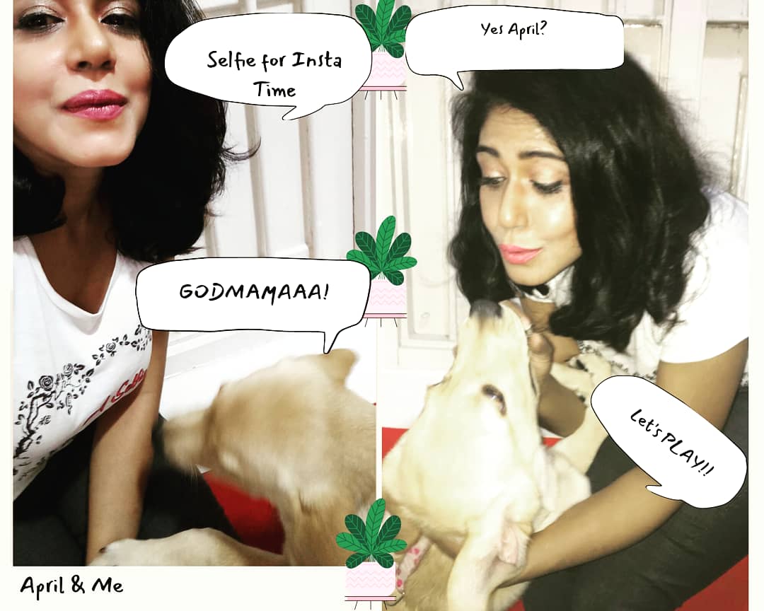 CMamathi's tweet photo. All in a morning's play! One-act 'April & Me'
#pupsoftwitter #godpuppy #mamathi https://t.co/drOfsQHPMO
