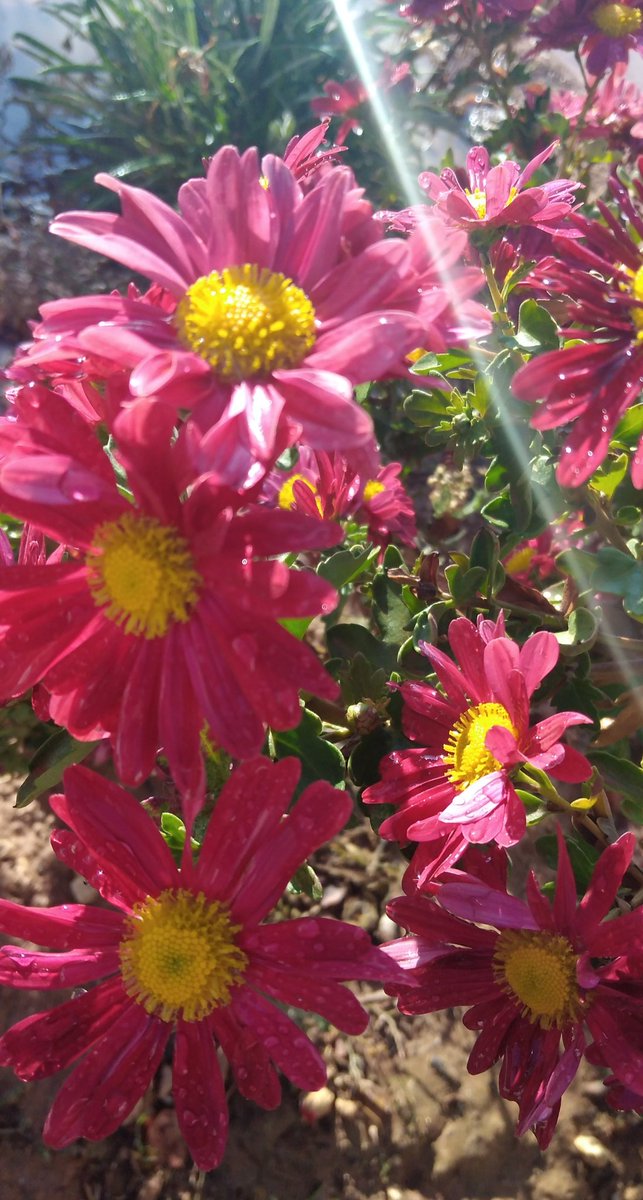 #صباح_الخير
أَصْبَـحْـنا وَأَصْبَـحْ المُـلكُ للهِ رَبِّ العـالَمـين ، اللّهُـمَّ إِنِّـي أسْـأَلُـكَ خَـيْرَ هـذا الـيَوْم ، فَـتْحَهُ ، وَنَصْـرَهُ ، وَنـورَهُ وَبَـرَكَتَـهُ ، وَهُـداهُ ، وَأَعـوذُ بِـكَ مِـنْ شَـرِّ ما فـيهِ وَشَـرِّ ما بَعْـدَه.