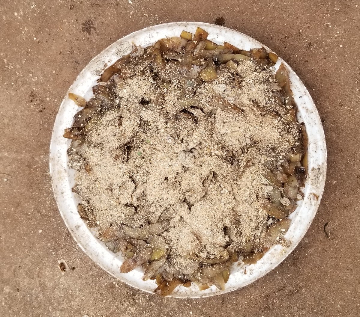 ..and mixes them with kidogo feeds.