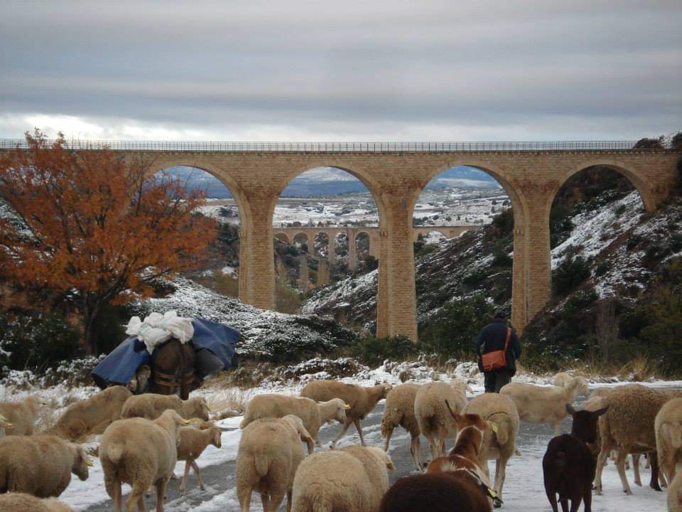 Juanjo Pastor Assaga tweet media