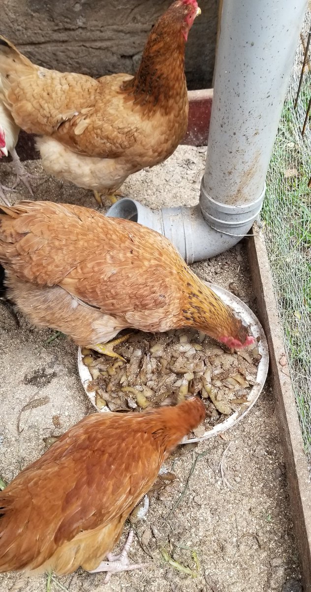 Everyone loves it  &ndash; bei  Imara Daima