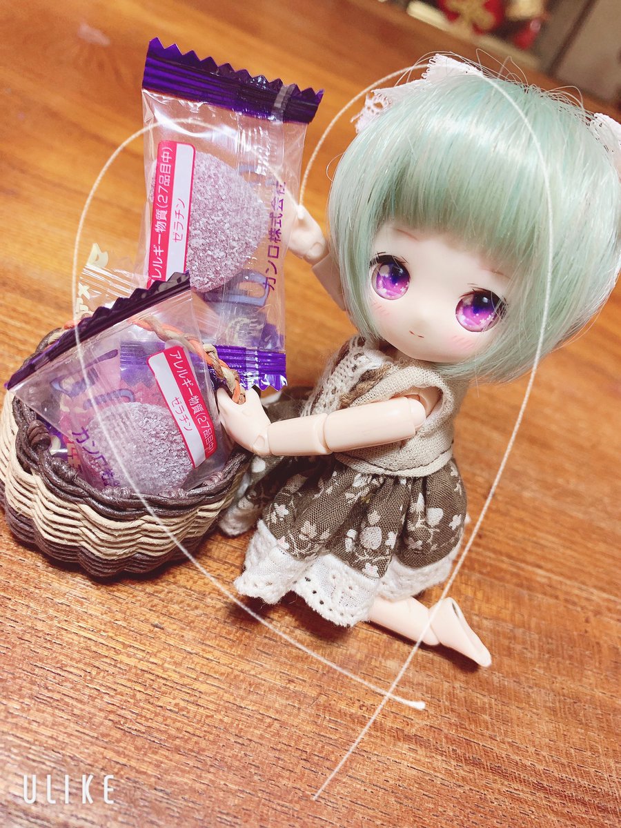 midare1923's tweet photo. お菓子をねだる椛ちゃん可愛い(   ´ཫ`   ) https://t.co/MAwRb75Uao