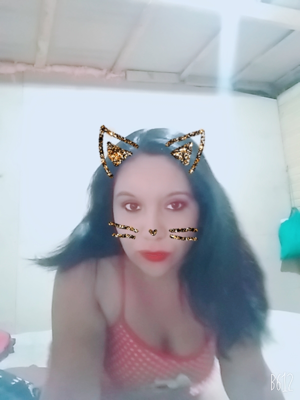 XxxMinimouse's tweet photo. HOLA MIS BEBESITOS COMO ESTAN ESTOY EN @Cam4  
LOS ESPEROS PARA INTERACTUAR Y PARA QUE ME VEAN
https://t.co/BVISytPOOz https://t.co/oiJyVCENjp