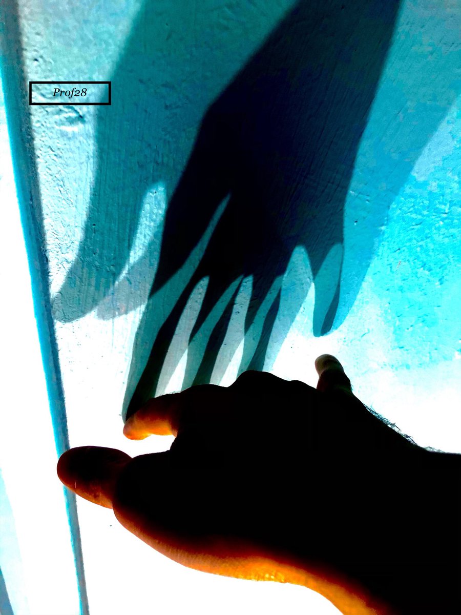 28_haziran's tweet photo. #prof28 #shadow #hand https://t.co/w87IBRVncR